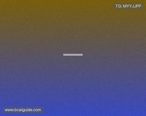 色碟的历史演变与文化背景深度解析